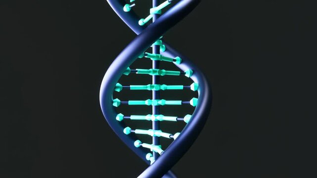A stylized 3D rendering of a rotating DNA double helix structure featuring glowing cyan base pairs and a dark blue backbone, symbolizing genetics, biotechnology, and scientific research.
