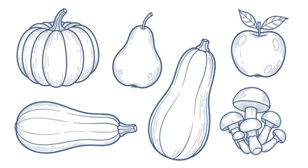 Hand-drawn outline of various autumn harvest vegetables and fruits. © Wita