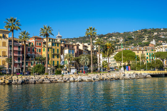 Colorful waterfront buildings and palm trees in Rapallo harbor