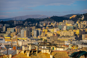 Obraz premium Colorful hillside apartment buildings above the harbor in Genoa