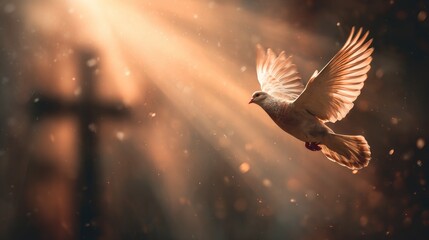 Fototapeta premium Dove flying in sun rays blurred cross