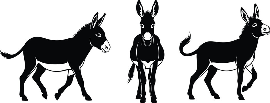 Set of three black and white stylized donkey illustrations, isolated on white background, showing side, front, and three-quarter views, vector graphic art design.