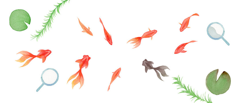 Watercolor Goldfish Scooping Game (Kingyo-sukui) Bundle, Japanese Summer Festival Elements-300dpi-