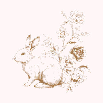 Botanical Rabbit Line Art Illustration