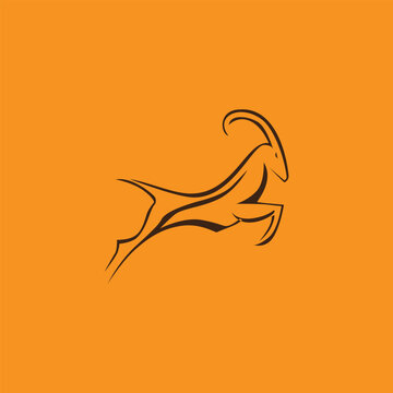 vector illustration of a deer