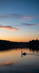 Fototapeta premium Solitary white bird glides across tranquil water reflecting the evening sky colors