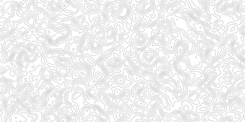 Gray topographic map lines on white background  abstract geographic illustration © MD.HUZZATULLAHISLAM
