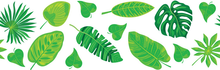 Assortment of vibrant green tropical leaves on white background