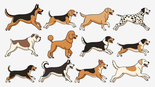 Diverse dog breeds running set. Vector illustration featuring poodle, dalmatian, corgi, husky, retriever, and beagle in motion. Happy jumping pets isolated flat cartoon design.