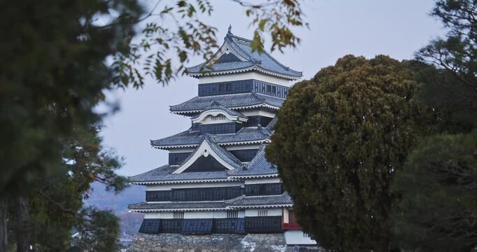 Beautiful medium shot of 16th century Matsumoto castle at dusk