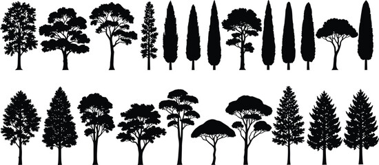 Large collection of black tree silhouettes, coniferous and deciduous forest plants, outdoor nature landscape elements for garden, park and architectural design, © Anamul Arafat