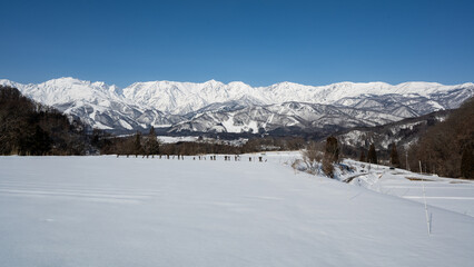 雪原に拡がる冬の北アルプス　長野県白馬村 © RATM