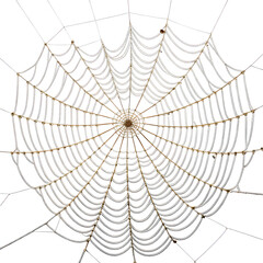 Obraz premium A detailed shot of a spider web in sunlight, intricate pattern of nature.