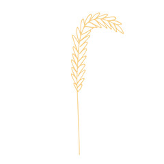 Hand drawn cereal wheat oat rye barley rice ears spikelet clipart Organic wheat bread agriculture farming harvest healthy food Single element for print packaging label design decor