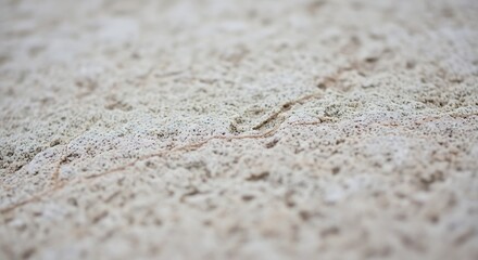 Minimalist architectural texture of speckled grey stone highlighting a natural orange hairline fracture and soft bokeh lighting effects.