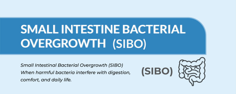 SIBO Awareness Gut Microorganism Imbalance Concept text with background