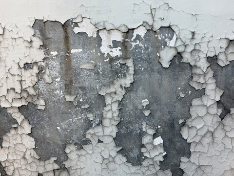Close-up of Peeling Paint on a Weathered Wall