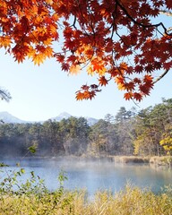 福島県美しい毘沙門沼秋の風景