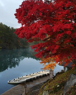 福島県美しいび毘沙門沼秋の風景