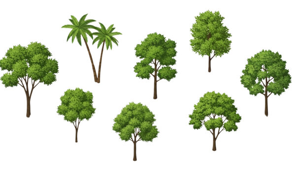 Isometric palm and deciduous tree collection with varied scale and soft shadows isolated on white background for urban planning graphics