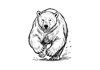 polar bear hand drawn simple sketch vector illustration