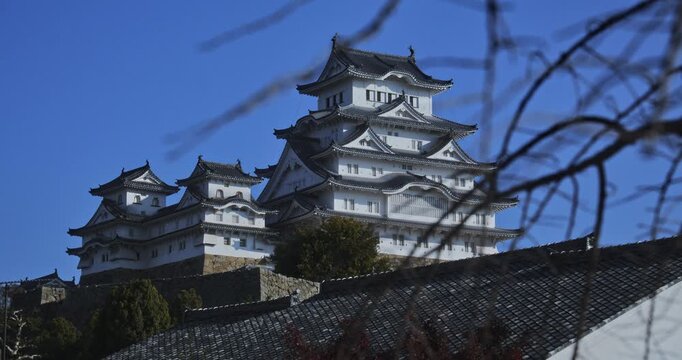 Bare tree branch in front of 16th century Matsumoto castle