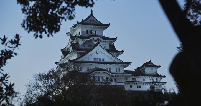 Bright lights on white 16th century Matsumoto castle at dusk with silhouetted trees