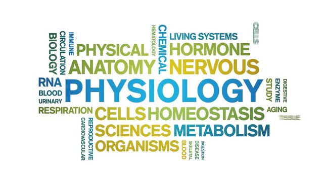 Physiology animated word cloud-text design animation tag kinetic typography seamless loop.