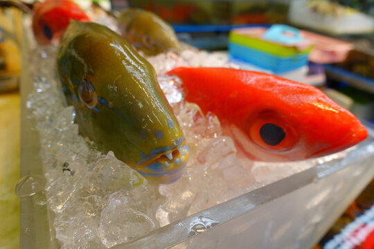 魚市場で買手を待つ魚たち