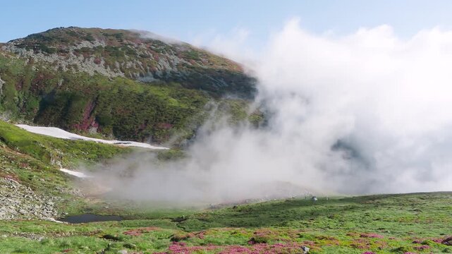Morning Fog Over Lala Lake Rodnei Mountains rhododendron in bloom