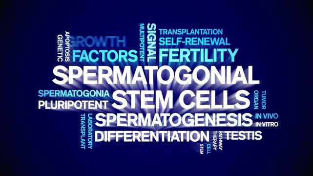 Spermatogonial Stem Cells animated word cloud-gross domestic product animation tag kinetic typography seamless loop.