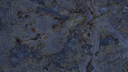 Tree stump macro texture with resin spots natural background © Aleksey Konovaloff