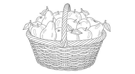 Obraz premium Black and white outline drawing for coloring depicts a large wicker basket overflowing with fresh apples and pears from the harvest.