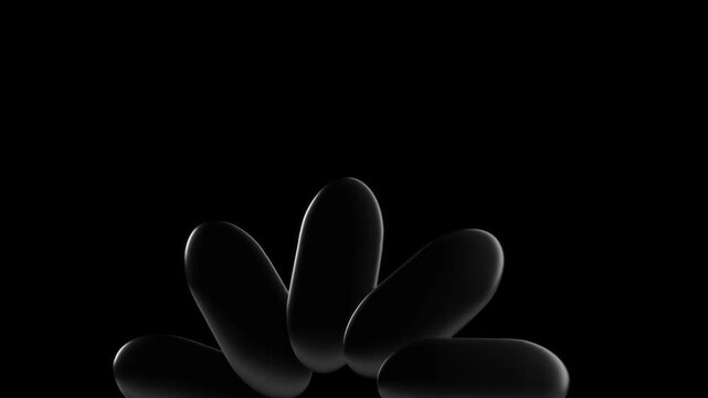 Close up view of smooth black capsule shapes on dark background forming abstract composition with soft light reflections modern minimal 3d render design