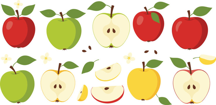 Red Green and Yellow Apple Vector Set with Whole Fruits, Slices, Leaves, Seeds, and Blossoms for Fresh Organic Food and Healthy Nutrition Illustration