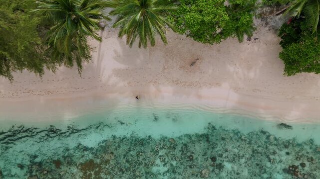 Aerial View of Ora Beach Shoreline with Turquoise Water, Sawai Saleman, Central Maluku, Indonesia