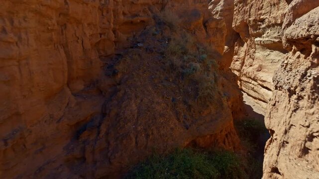 Desert canyon with narrow, eroded walls and sparse vegetation under daylight.