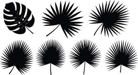 Collection of tropical palm tree leaf silhouettes on white background © Saidurra12