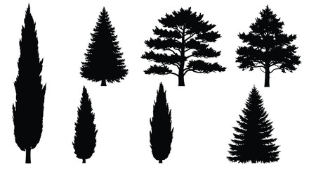 Variety of coniferous trees depicted in a dark striking silhouette © MDALTUFHOSAIN
