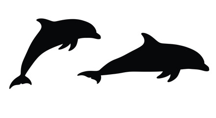 Fototapeta premium Two dolphins leaping and swimming a striking black silhouette