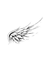 Fototapeta premium Professional tattoo style eagle line art, open wings, sharp feather texture, white background