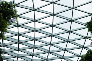 Fototapeta premium A large glass roof with steel structure. The space is filled with plants and trees, creating a sense of calm and tranquility. The white structure above the plants