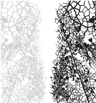 Intricate skeletal patterns of dried leaves in contrasting light and dark tones