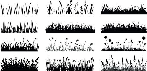 Garden border grass and wildflower silhouettes © Icons Queen