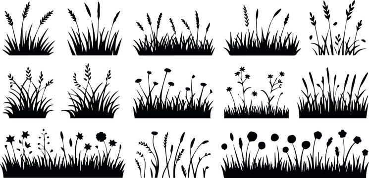Wildflower meadow edge silhouettes