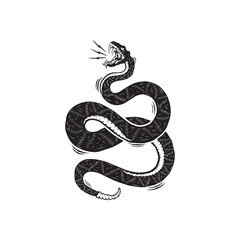 Fototapeta premium black and white snake on white background
