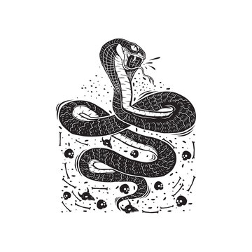 snake vector illustration