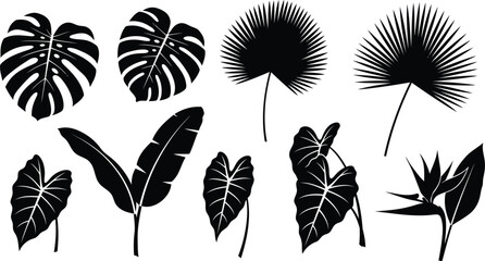 Collection of tropical leaves silhouettes on white background © Saidurra12