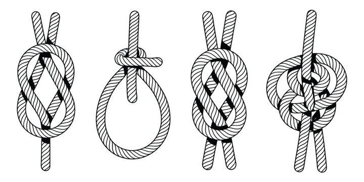 Rope knots collection, various nautical knot designs on white background, vector illustrations for boating, maritime, instructional, and creative projects.