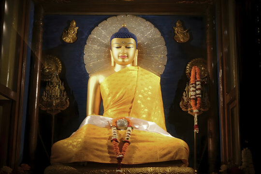 Buddha of Metta inside Mahabodhi Temple, India